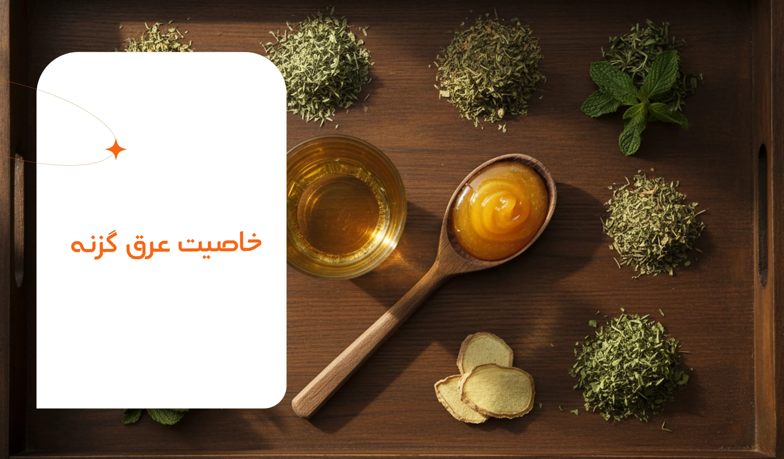 عرق گزنه را کی بخوریم 2 خاصیت عرق گزنه